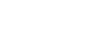 Siegel „Software Made in Germany“