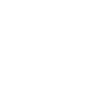 Siegel Software Hosted in Germany vom Bundesverband IT-Mittelstand e.V.